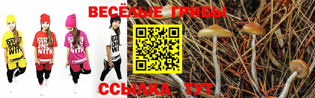 Псилоцибиновые грибы Cubensis  купить  сайты  Кандалакша  Вход с VPN  Галлюциногенные грибы Magic Shrooms 